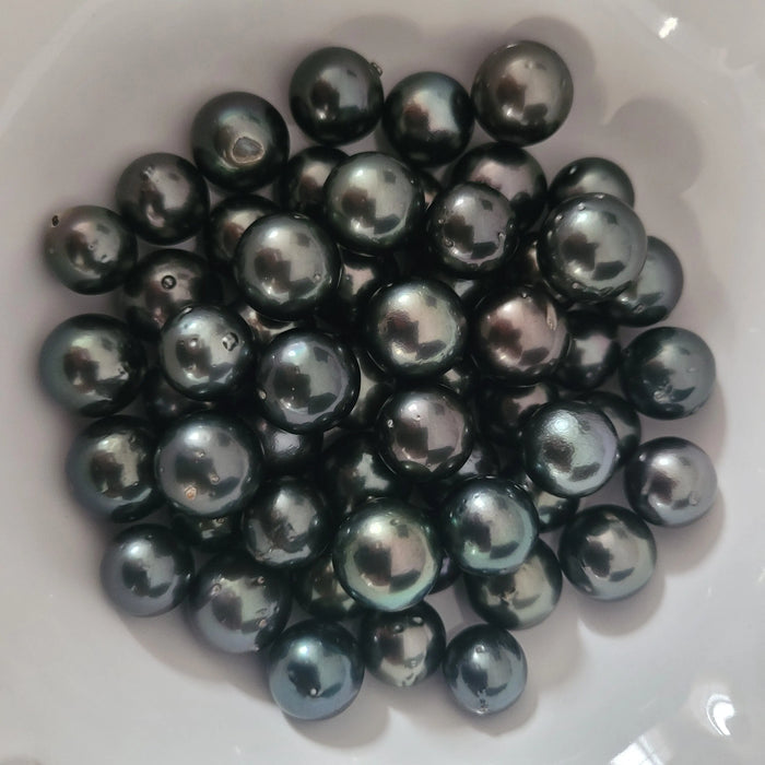 Black Tahitian Seawater Pearl | 8–11mm Premium Quality | Live