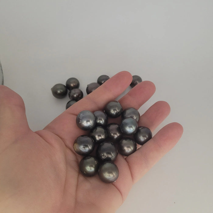 Black Tahitian Seawater Pearl | 8–11mm Premium Quality | Live