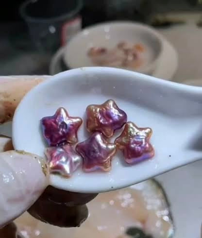 Star shaped Pearl | Multi-Color & White Varieties | Live Opening